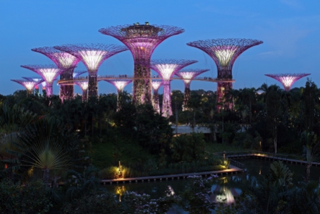 Supertrees at Gardens by the Bay (Singapore)